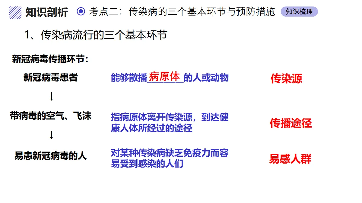 17334498第7页