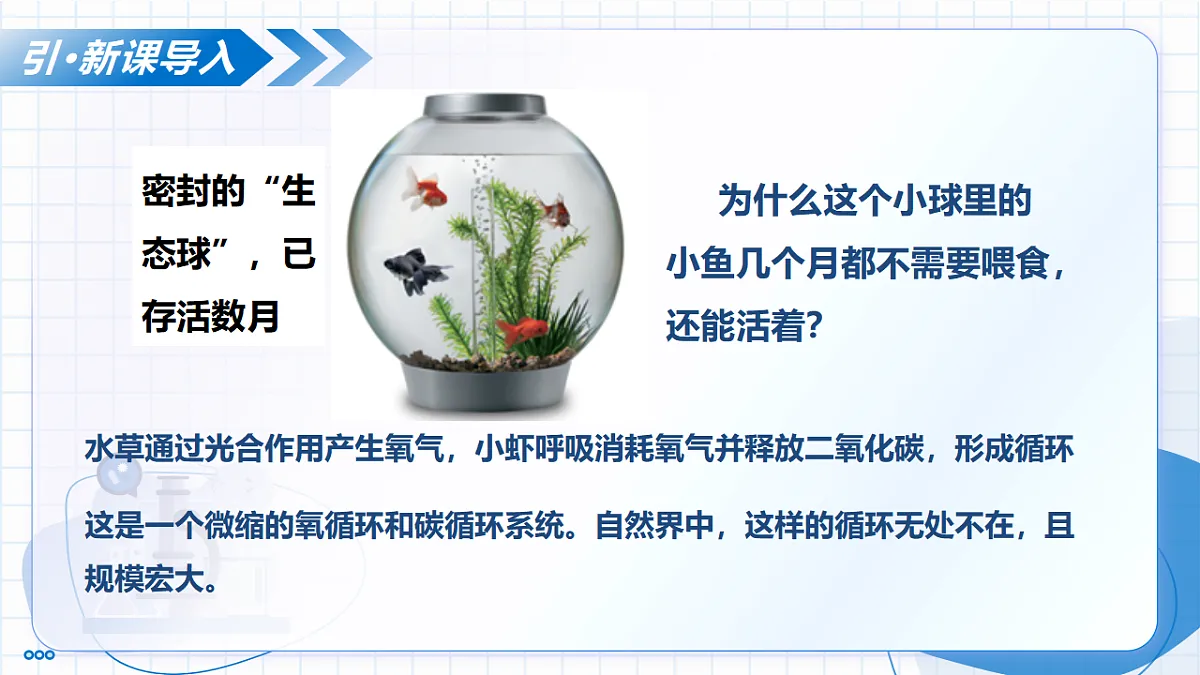 17334524第4页