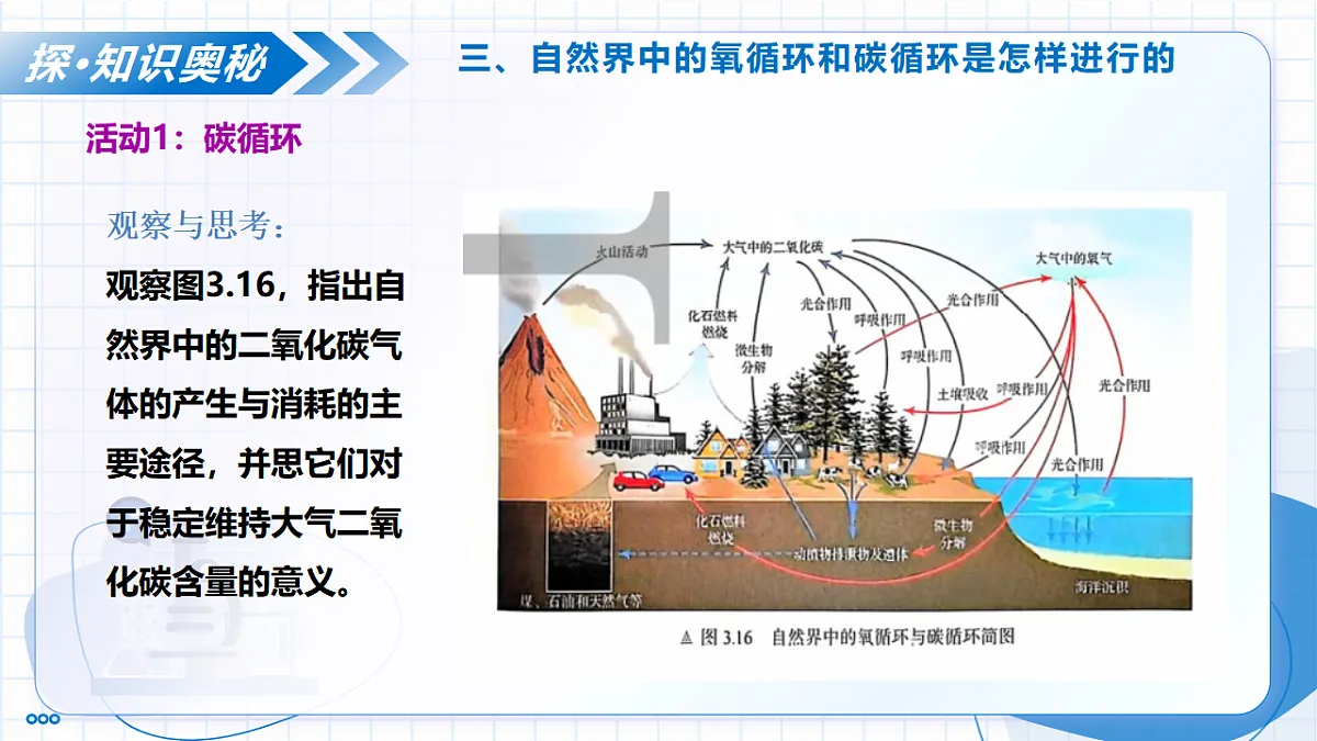 17334524第6页