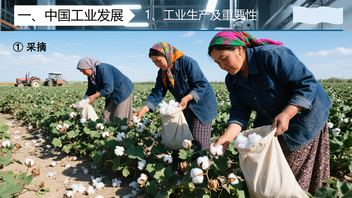 17334855第8页