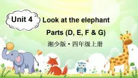 英语Unit 4 Look at the elephant课堂教学ppt课件