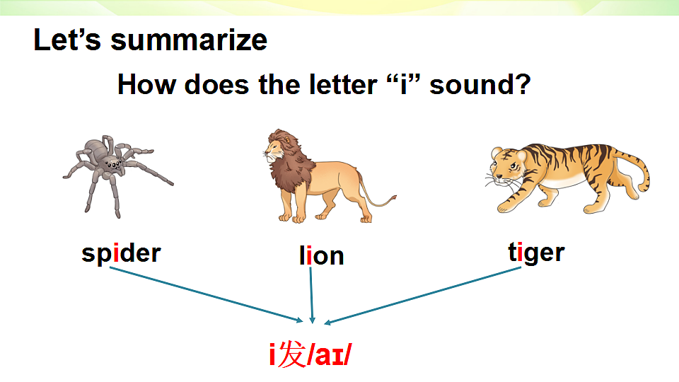 17334893第6页