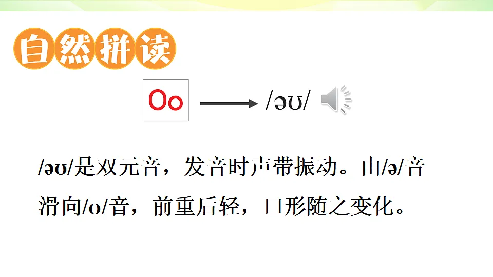 17334894第5页