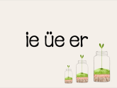 12.ie üe er（课件）语文统编版一年级上册（新教材）