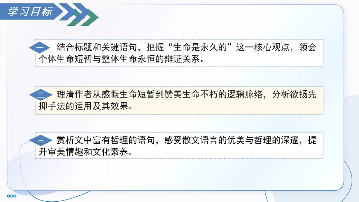 17335075第3页