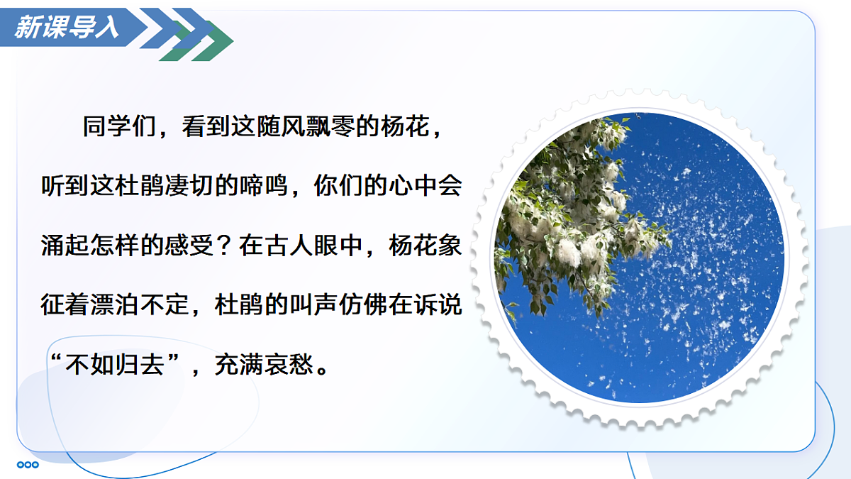 17335082第3页