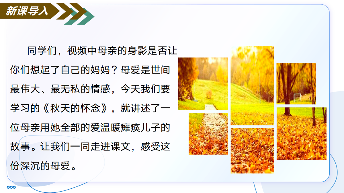 17335085第4页