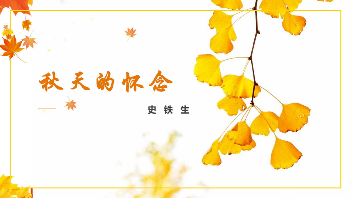 17335086第1页