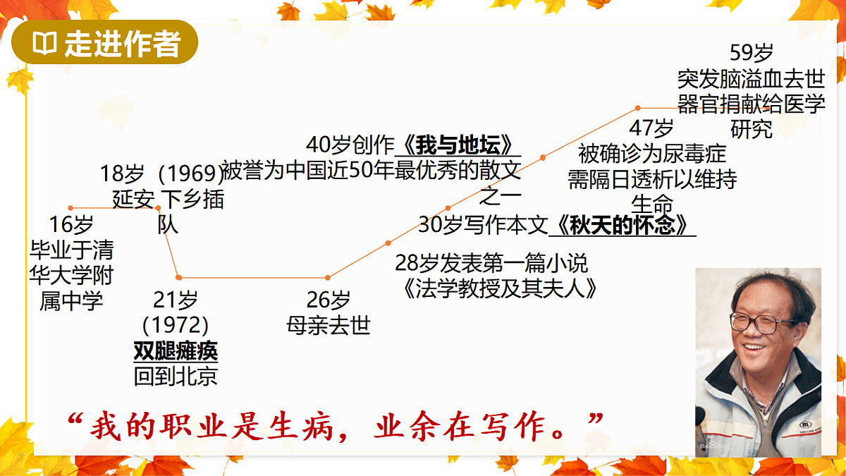 17335086第5页