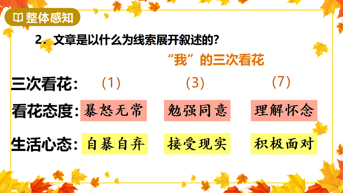 17335086第8页