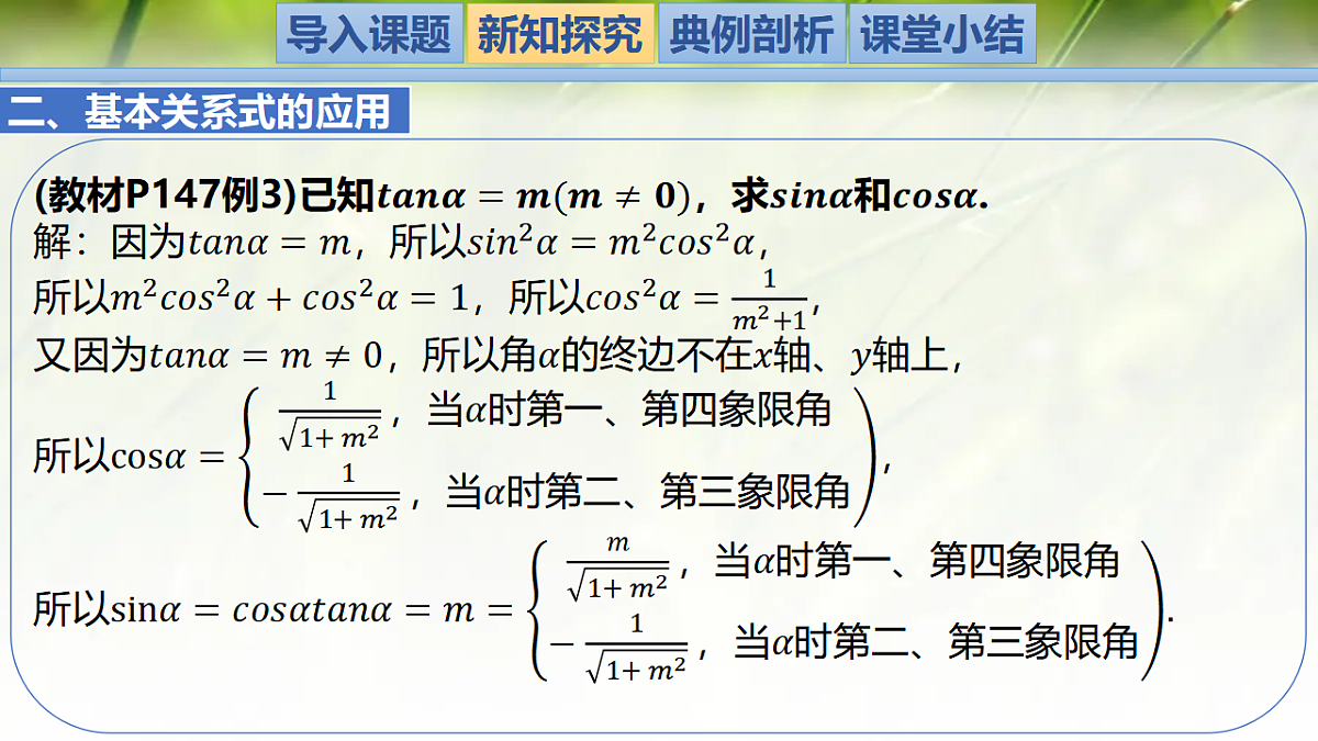 17335303第7页