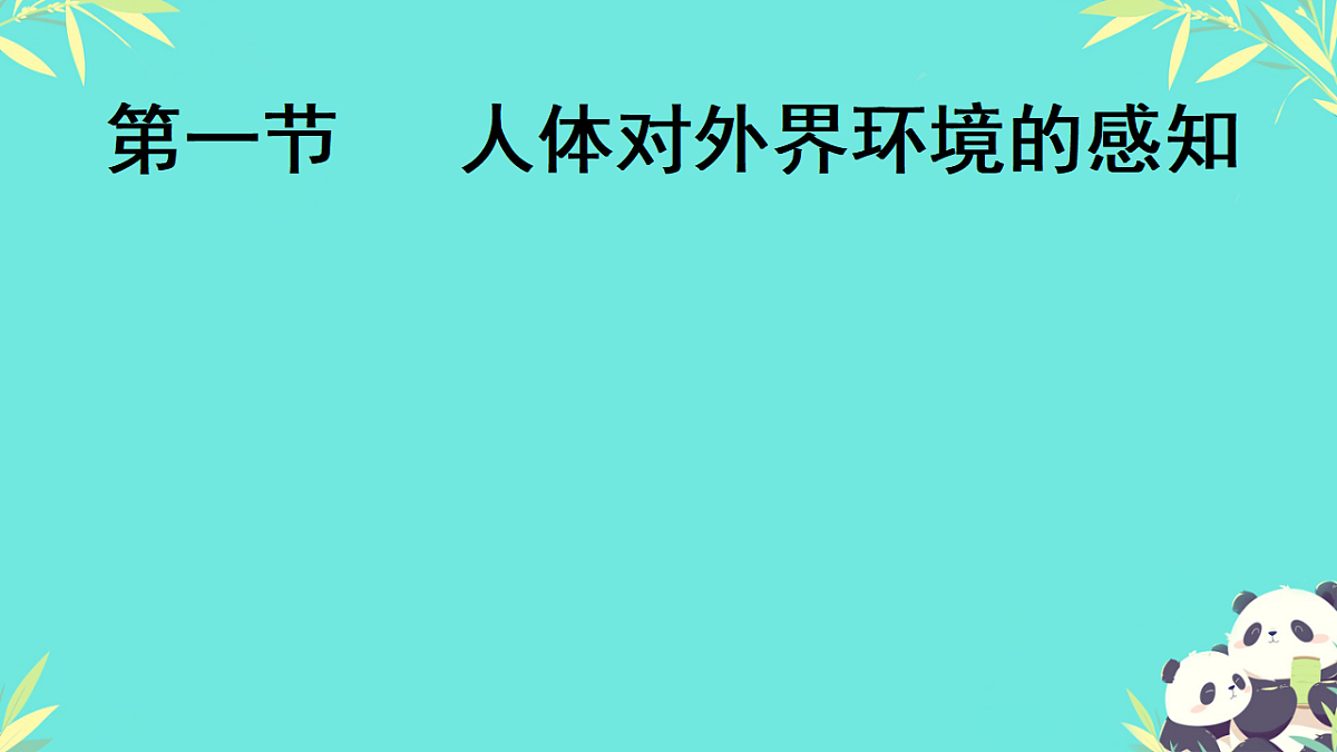 17335305第1页