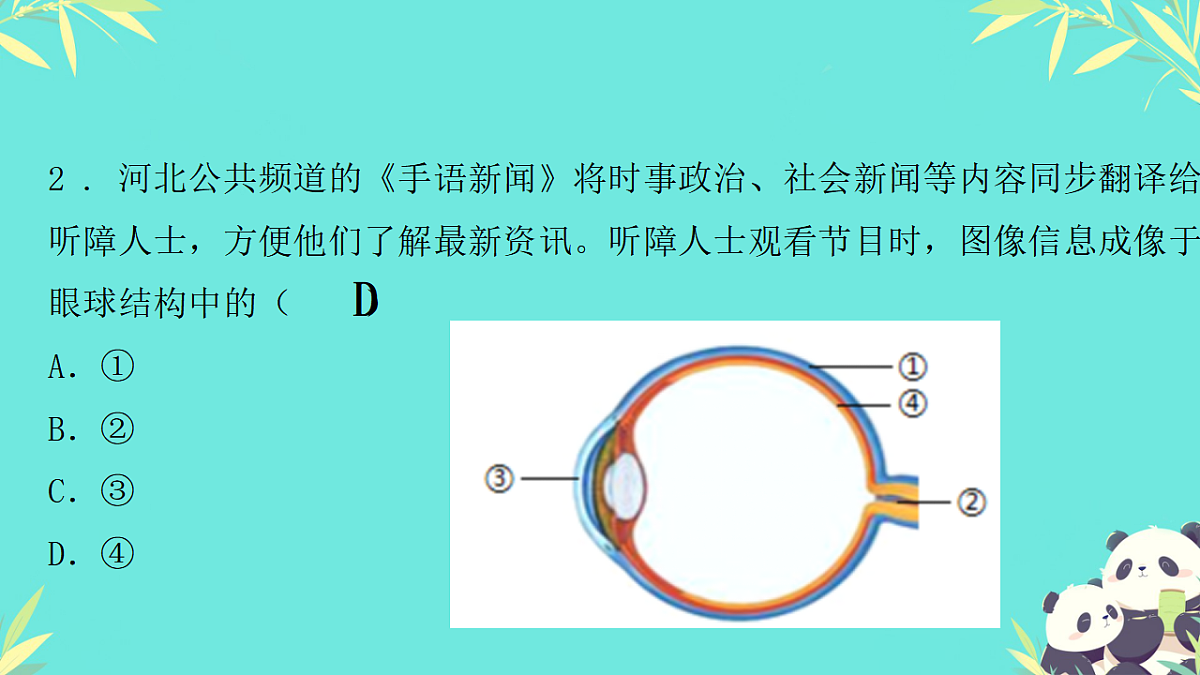 17335305第3页