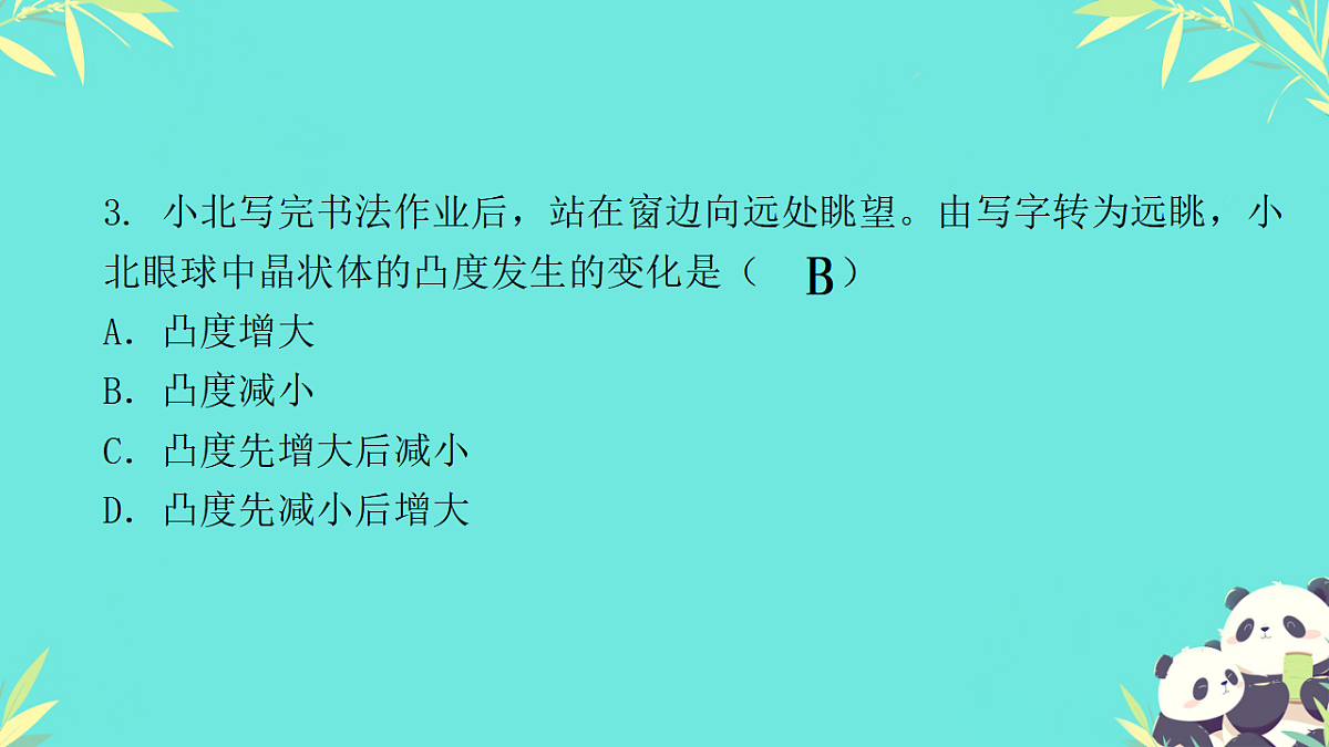 17335305第4页