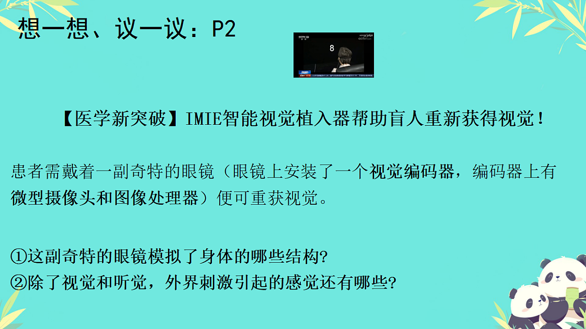 17335305第5页