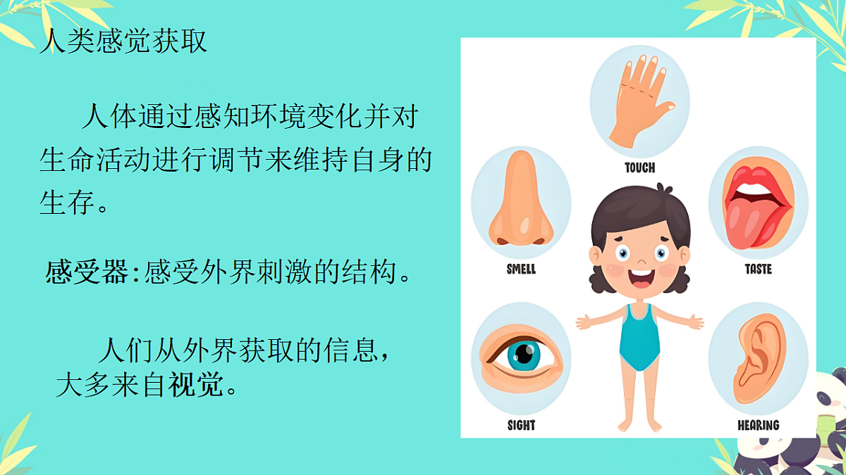 17335305第6页