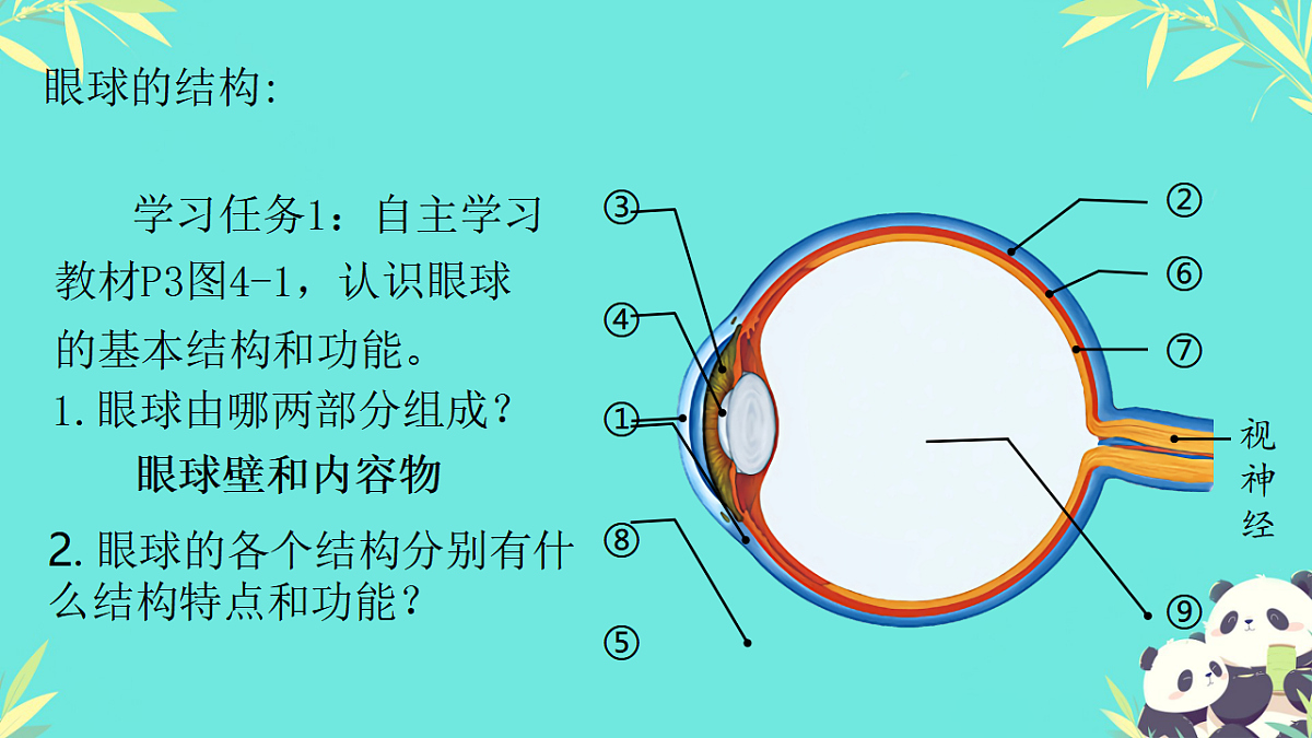 17335305第7页