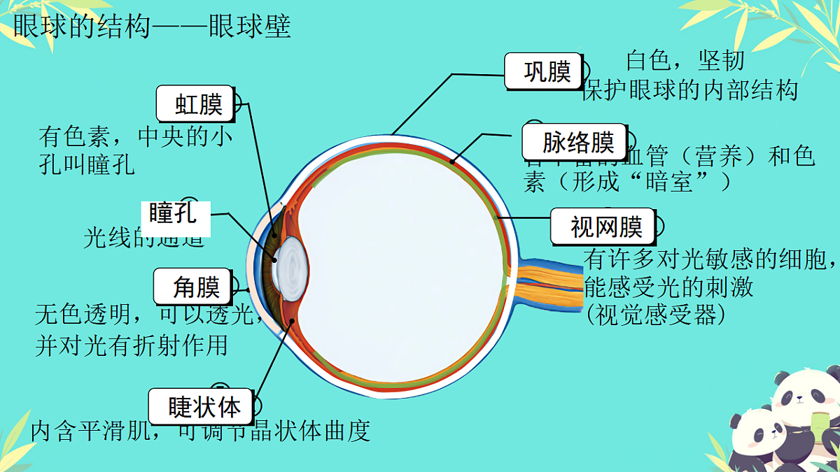 17335305第8页