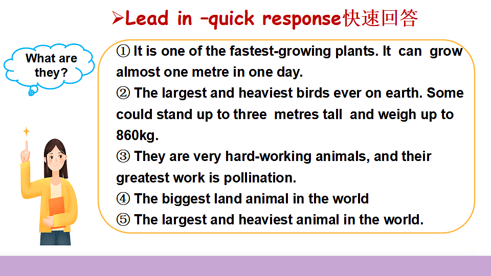 17335359第4页