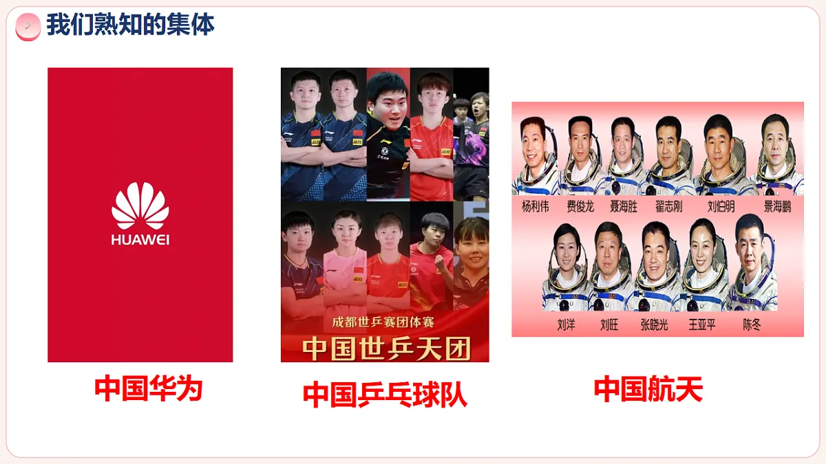 17335521第7页