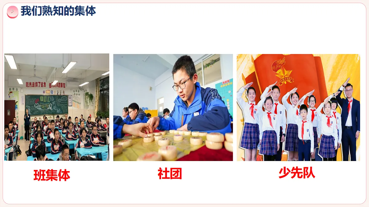 17335521第8页
