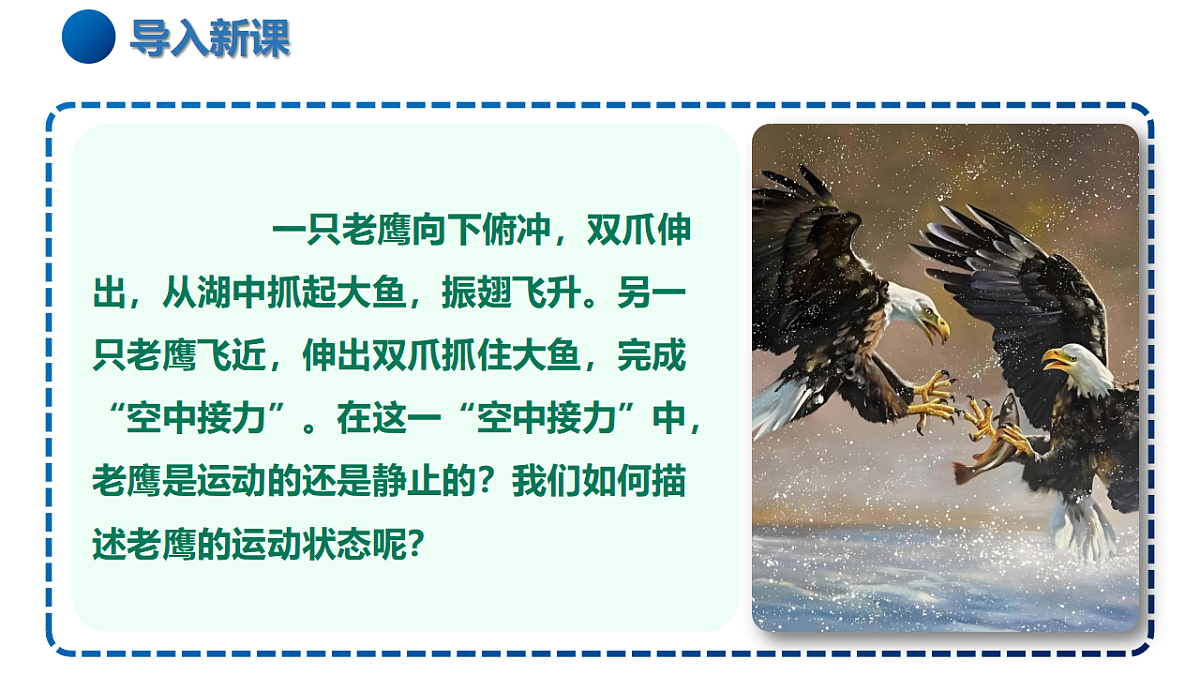 17335522第2页
