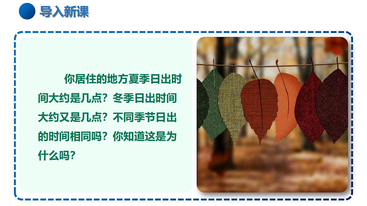 17335526第2页