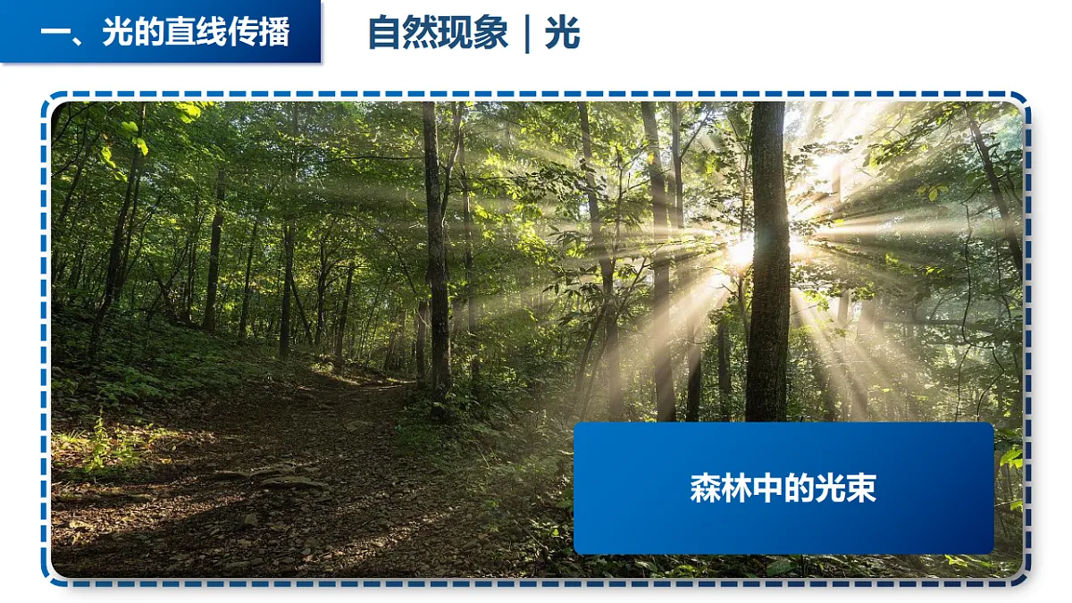 17335530第8页