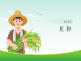 教科版2024科学一年级上册 第1课 我们知道的植物-教学课件