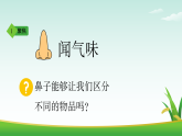 教科版2024科学一年级上册第4课 气味告诉我们-教学课件