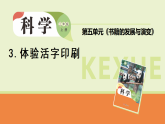 2025年大象版三年级科学上册 5.3.体验活字印刷（教案+课件）