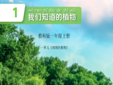 教科版小学科学一年级上册 1.1《我们知道的植物》课件