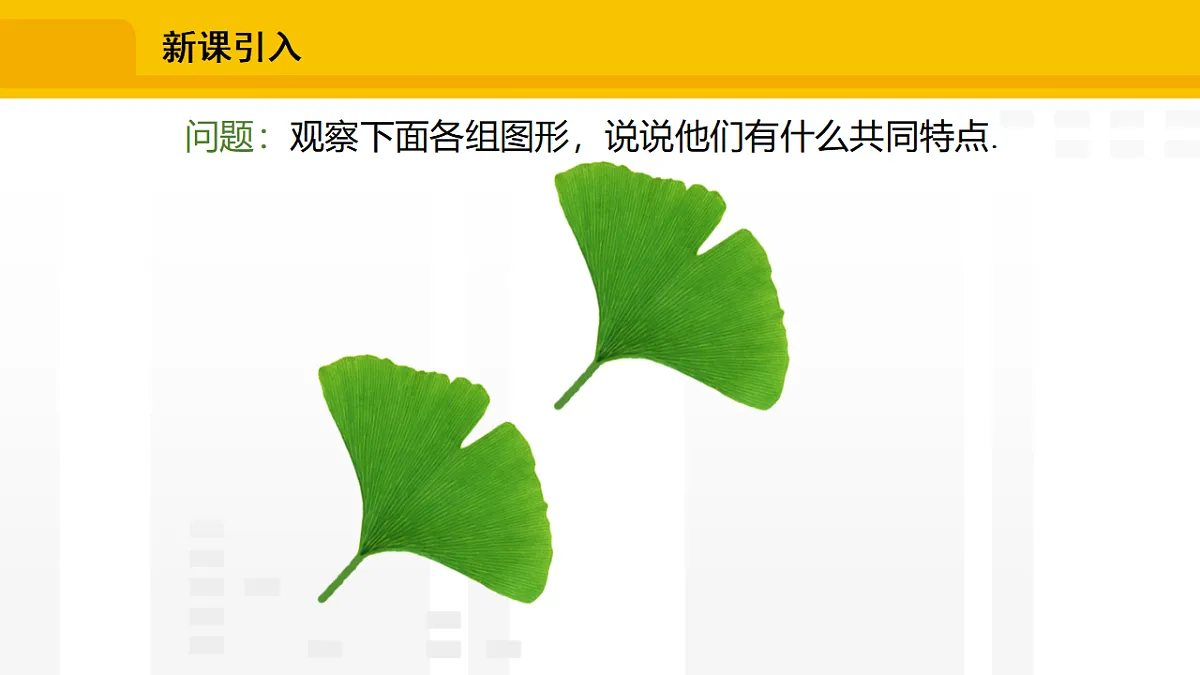 17336232第2页