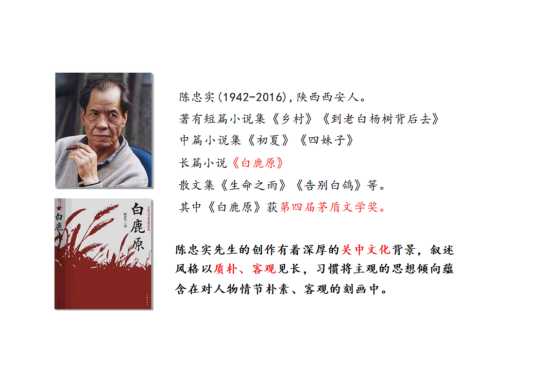 17336388第2页