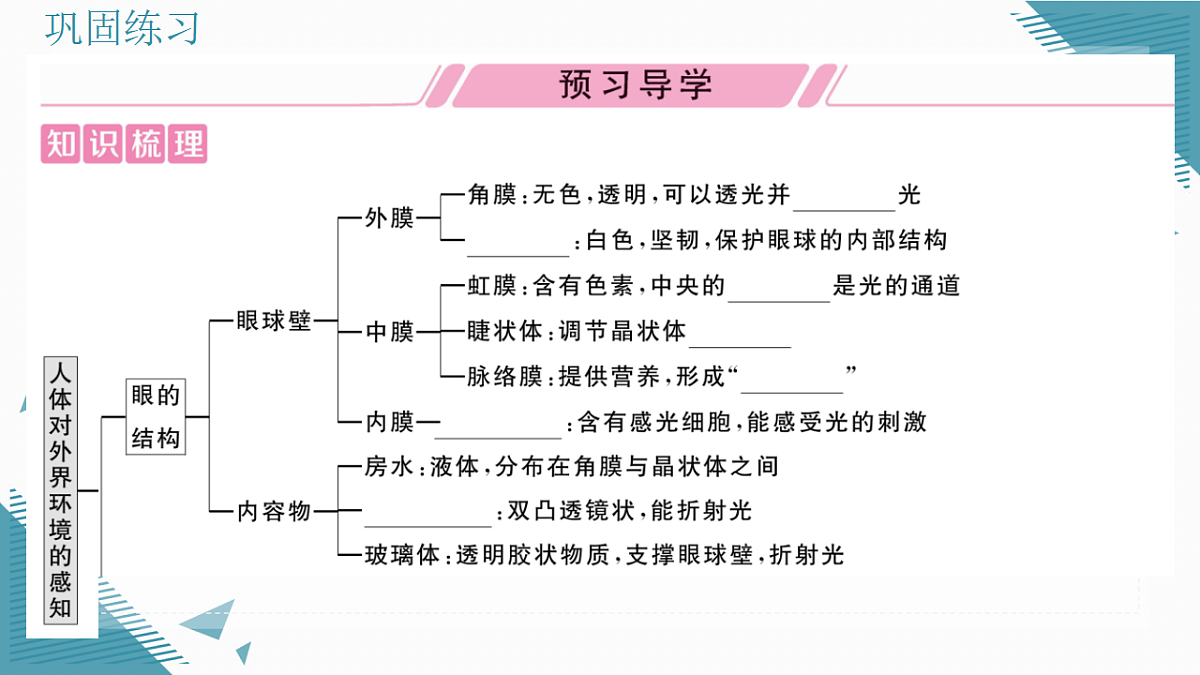 17336435第2页