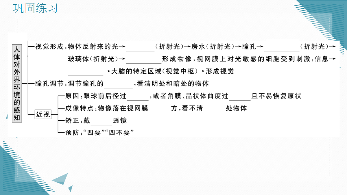 17336435第3页