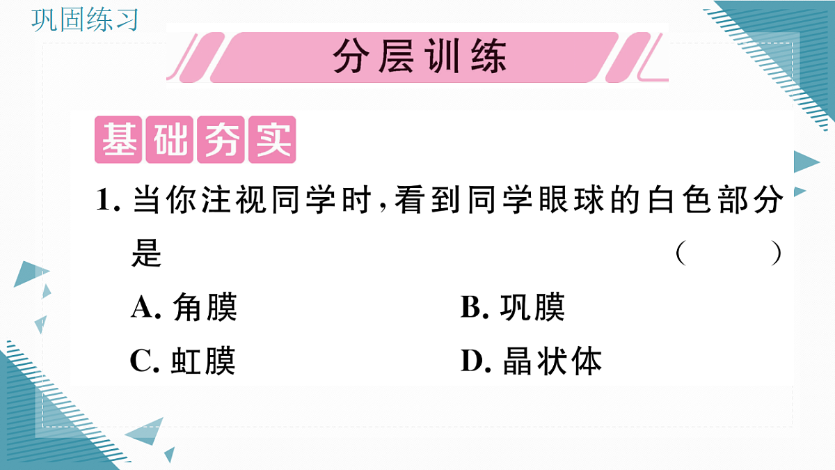 17336435第5页