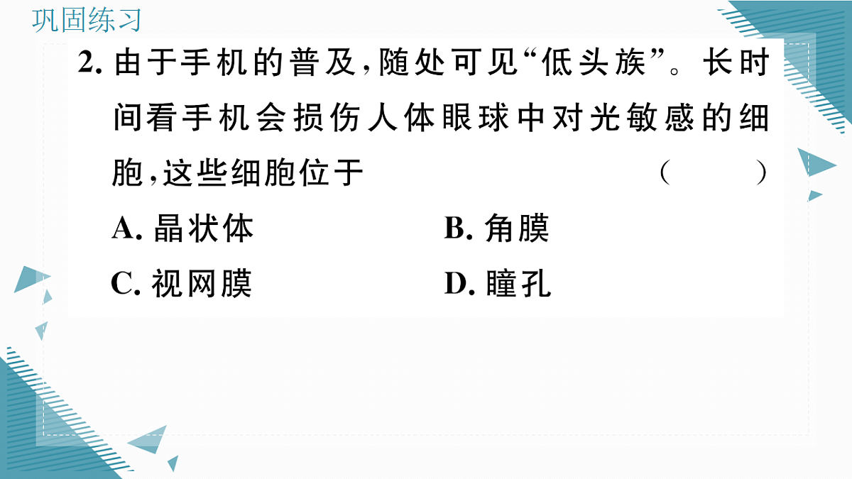 17336435第6页