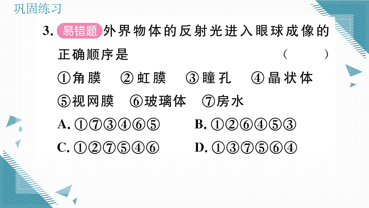17336435第7页