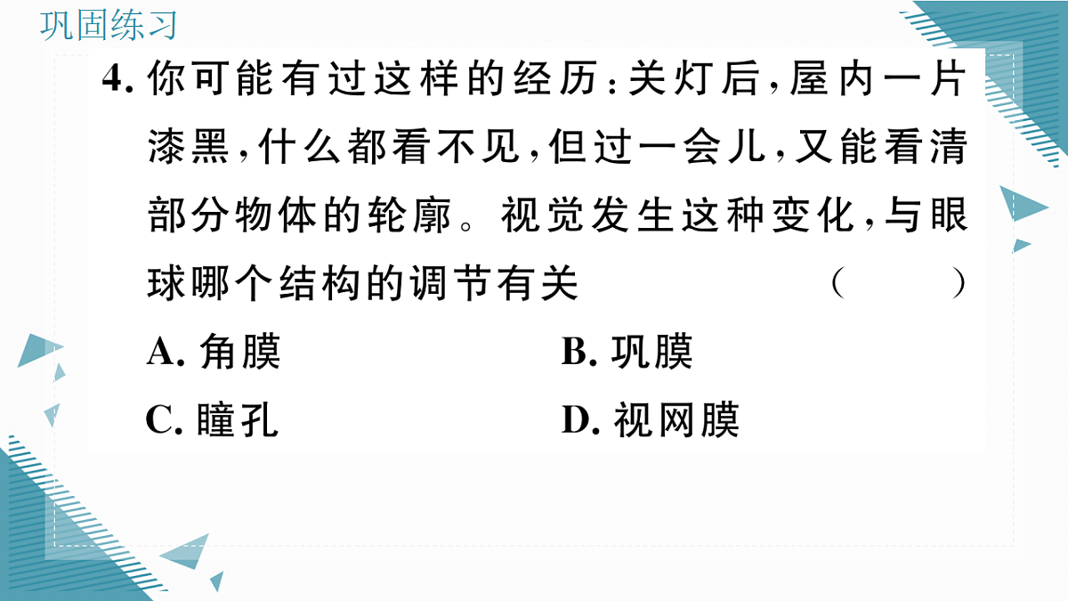 17336435第8页
