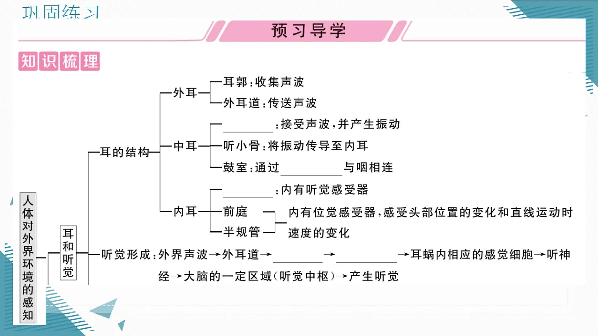 17336436第2页