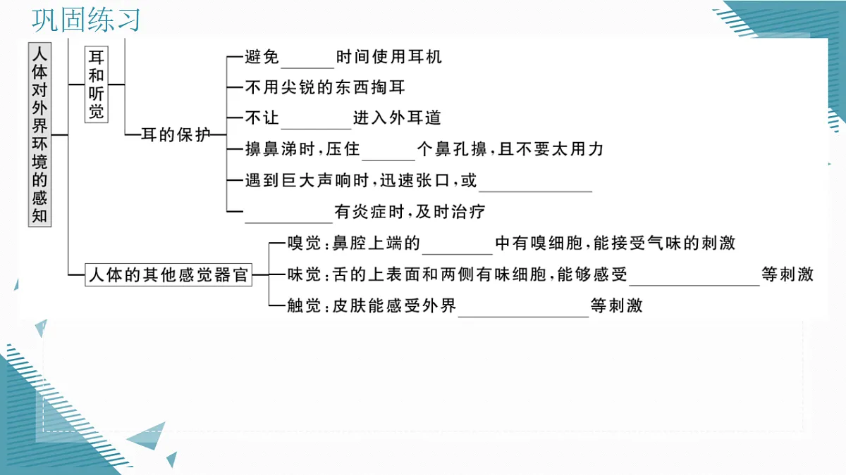 17336436第3页