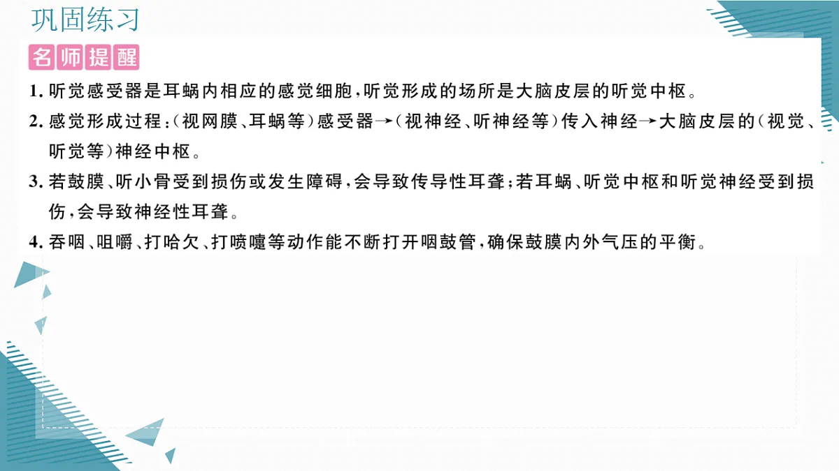 17336436第4页