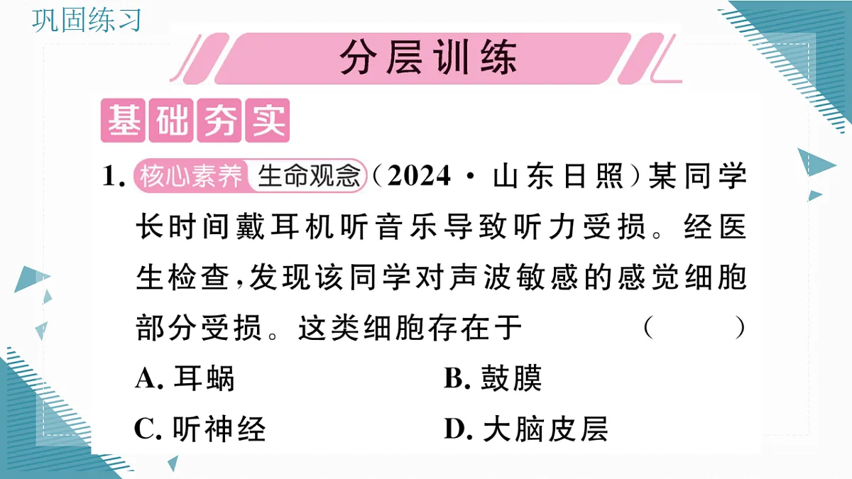 17336436第5页