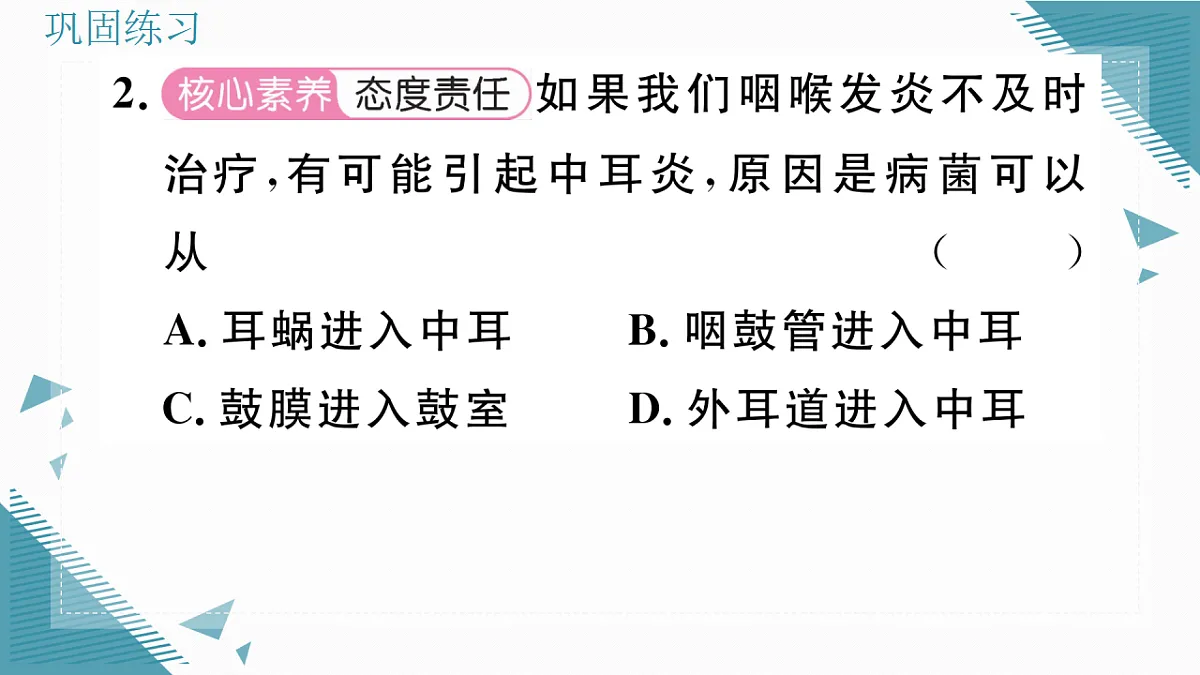 17336436第6页