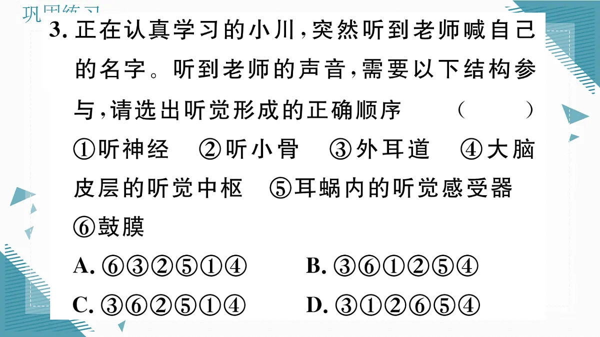 17336436第7页