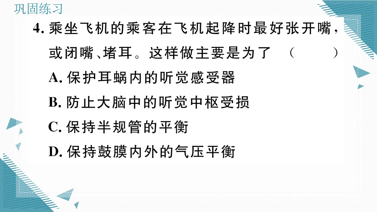 17336436第8页