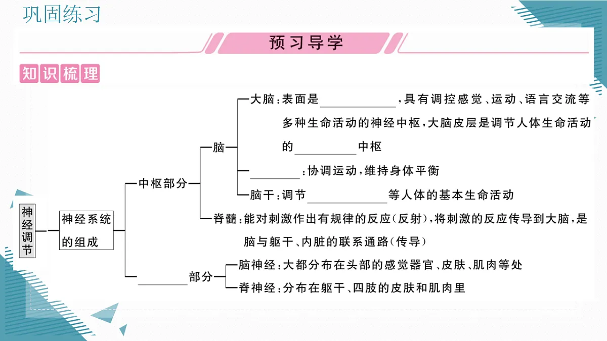 17336437第2页