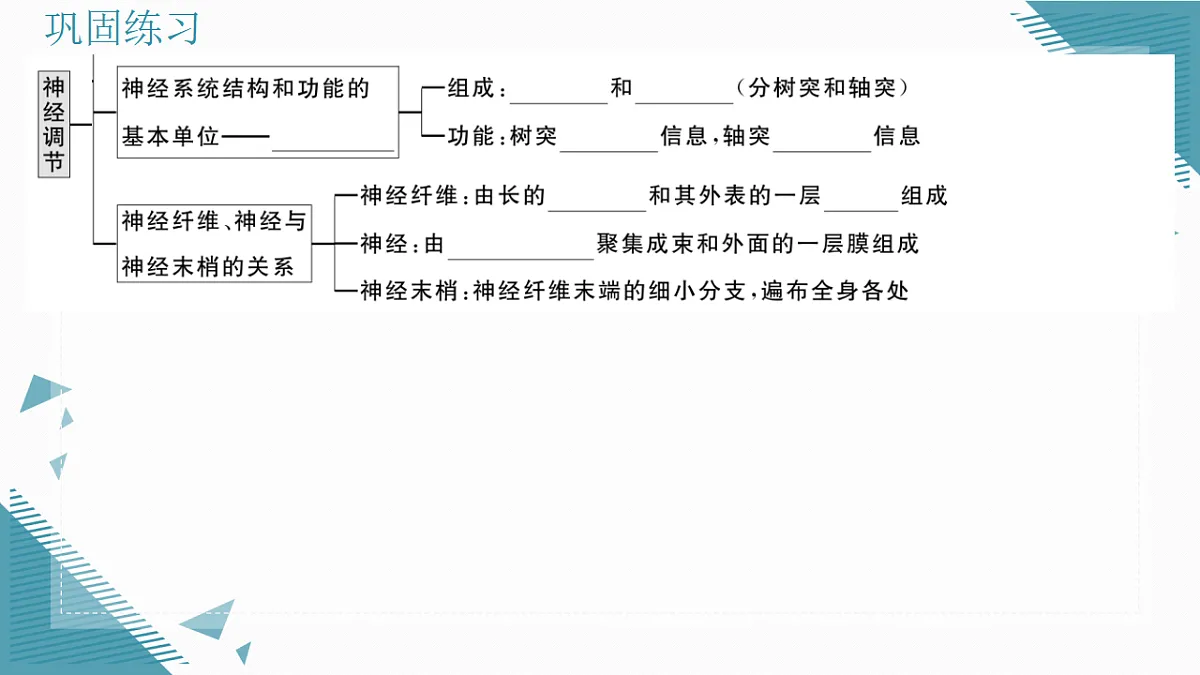 17336437第3页