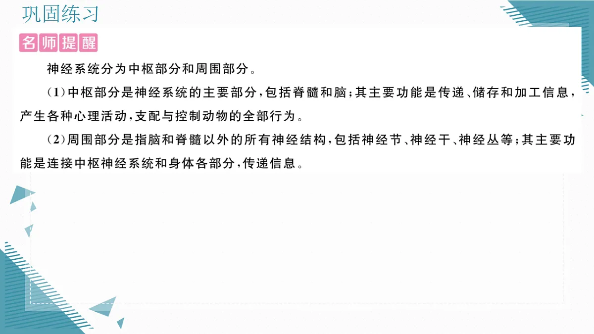 17336437第4页
